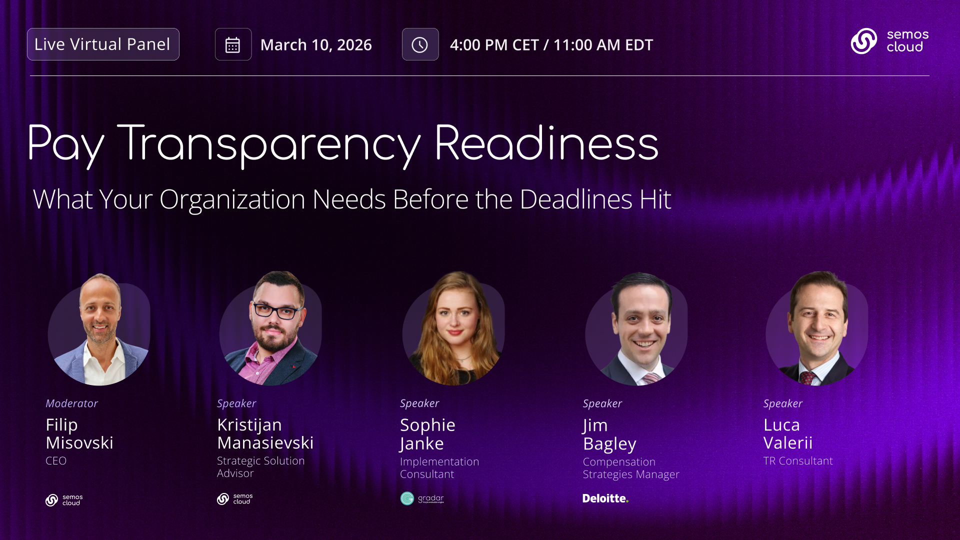 Pay Transparency Panel